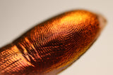 Multichrome shadeshifter pigment - I Lava You